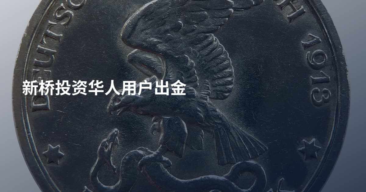 新桥投资华人用户出金
