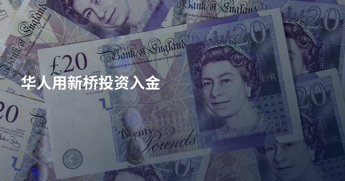 华人用新桥投资入金
