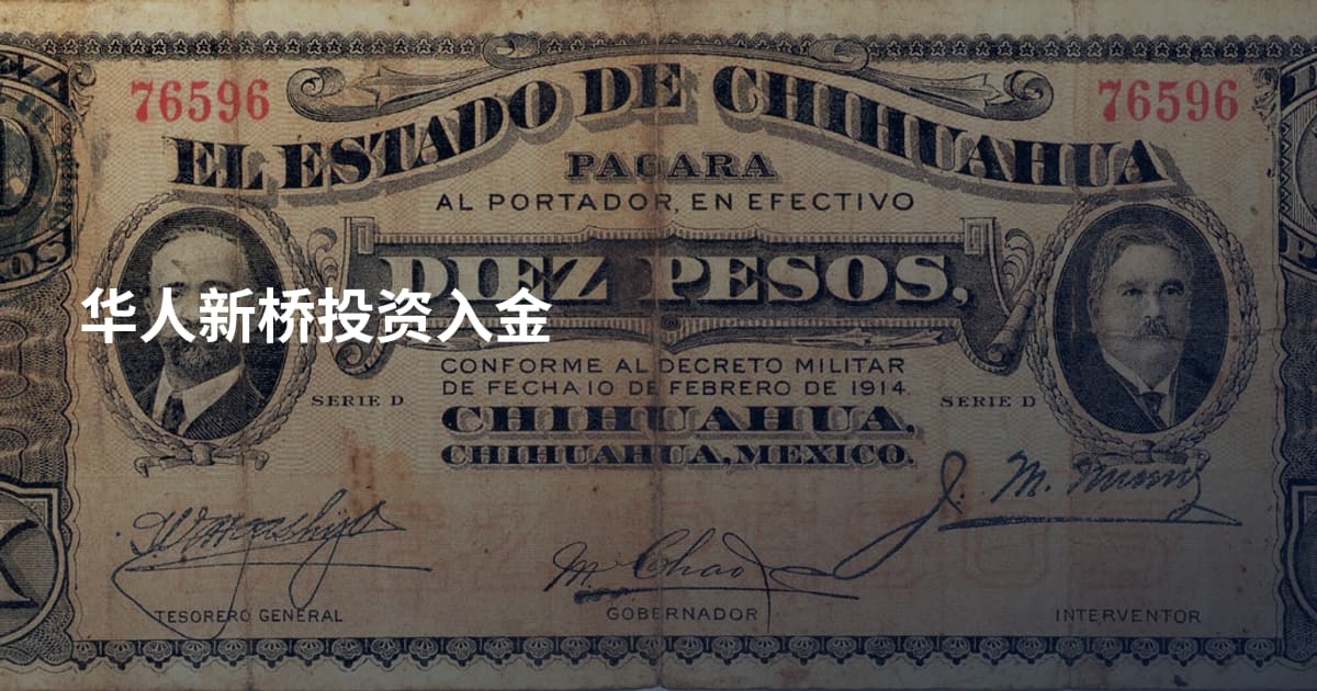 华人新桥投资入金