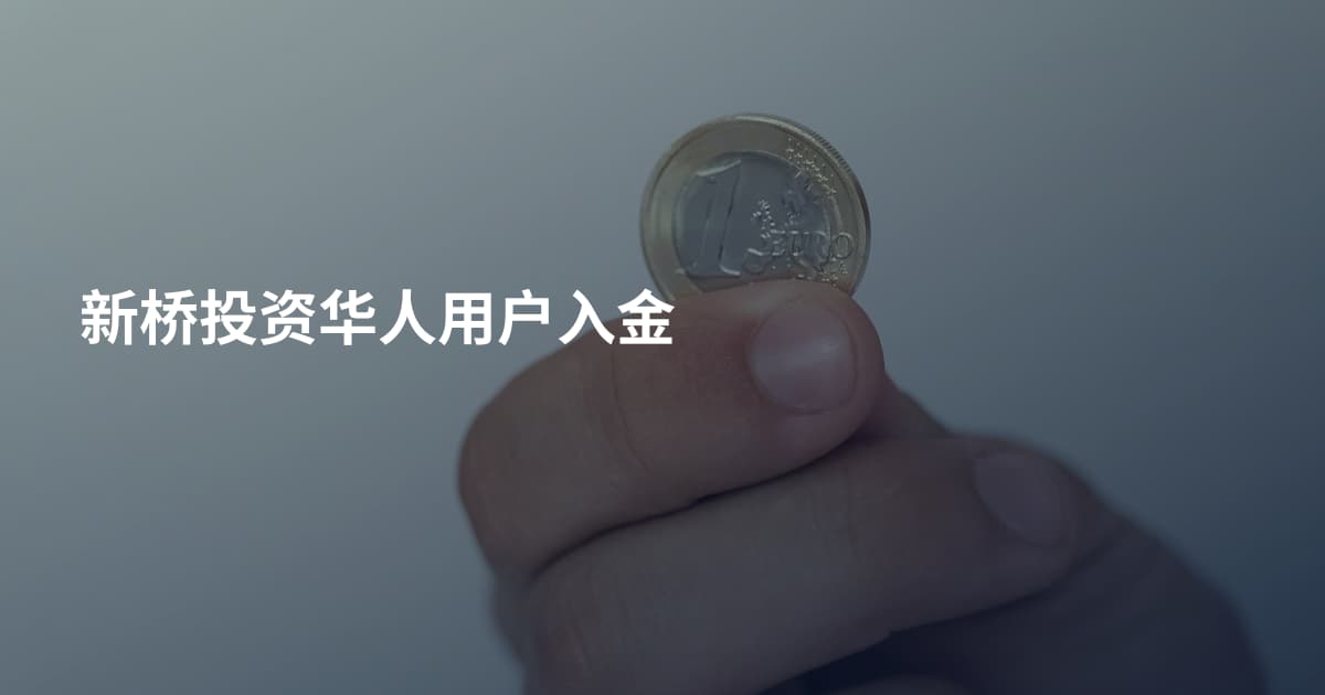 新桥投资华人用户入金