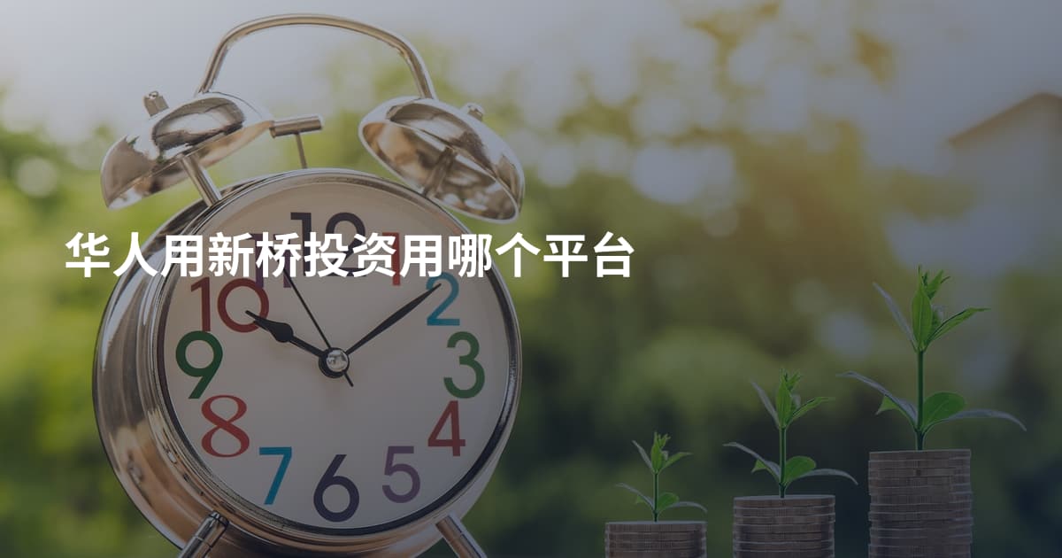 华人用新桥投资用哪个平台