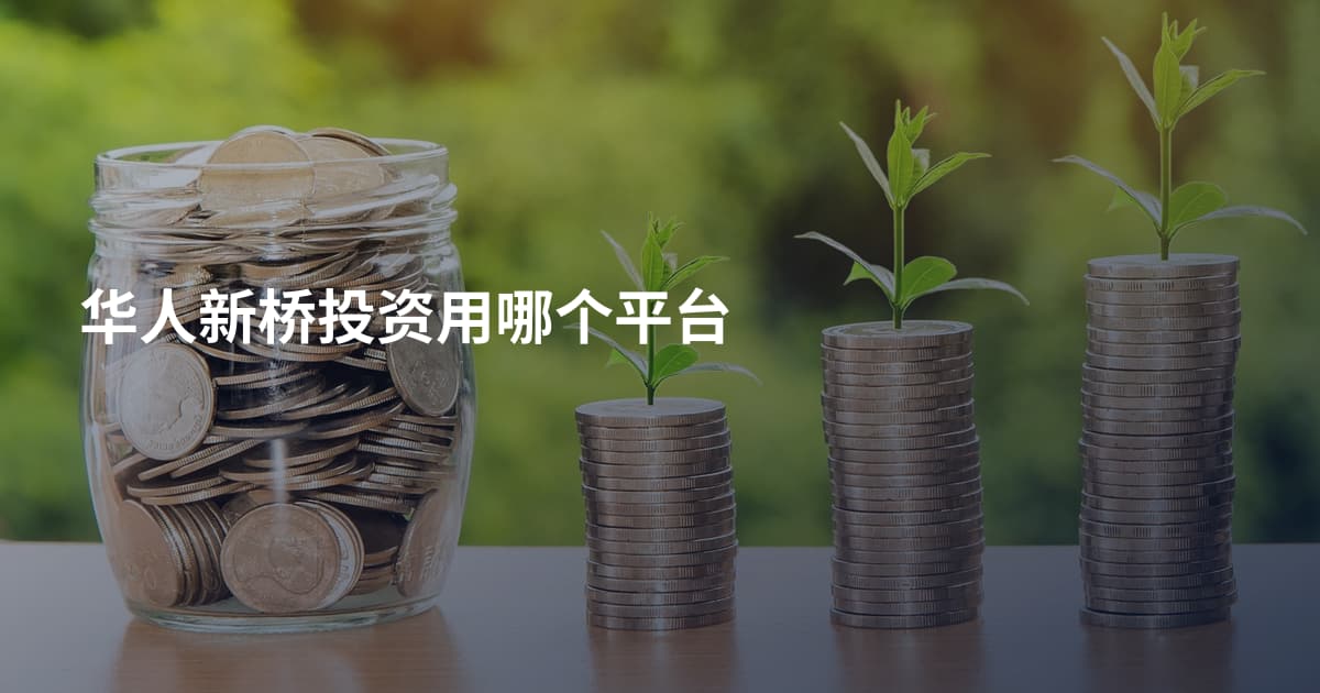 华人新桥投资用哪个平台
