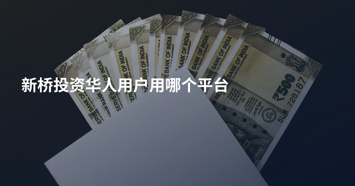 新桥投资华人用户用哪个平台