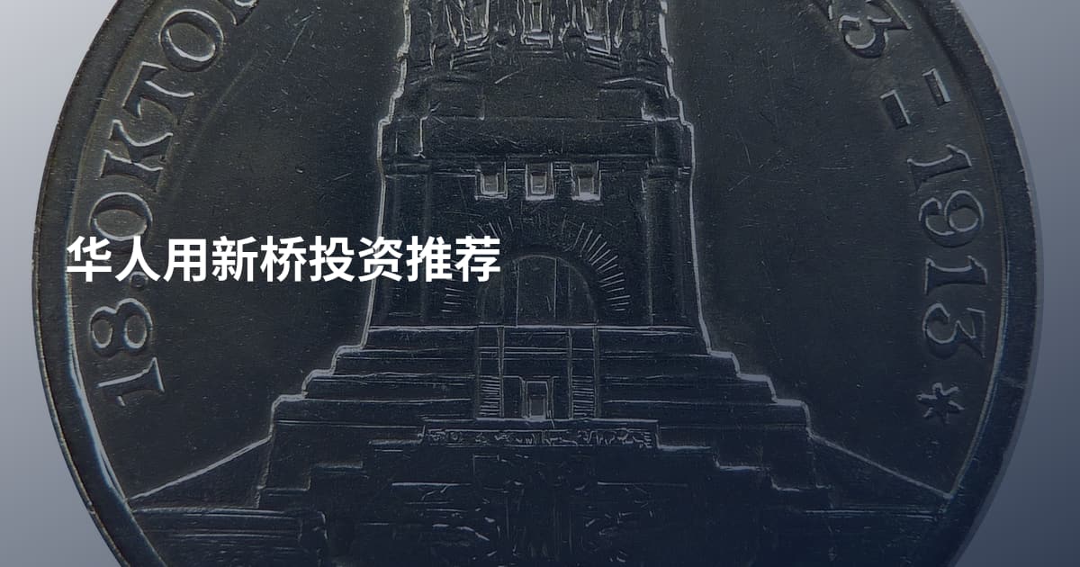华人用新桥投资推荐