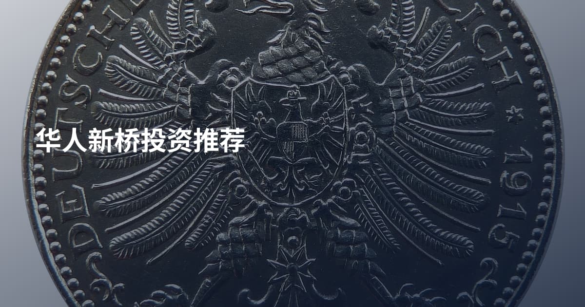华人新桥投资推荐