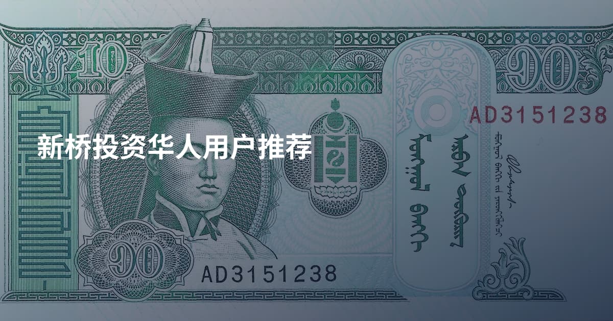 新桥投资华人用户推荐