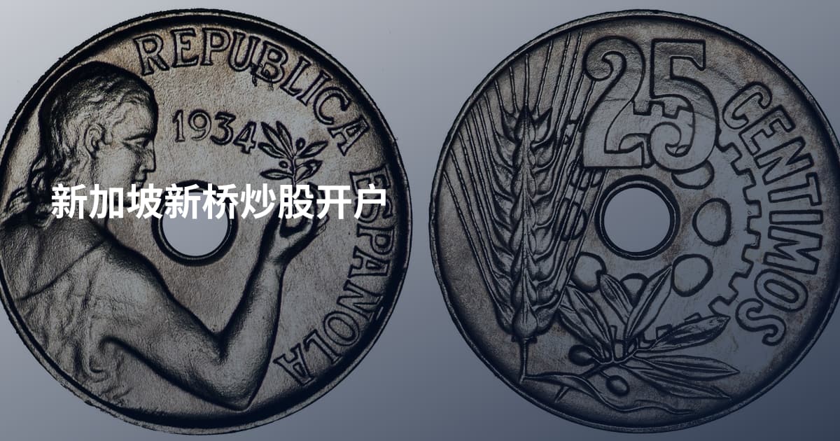 新加坡新桥炒股开户
