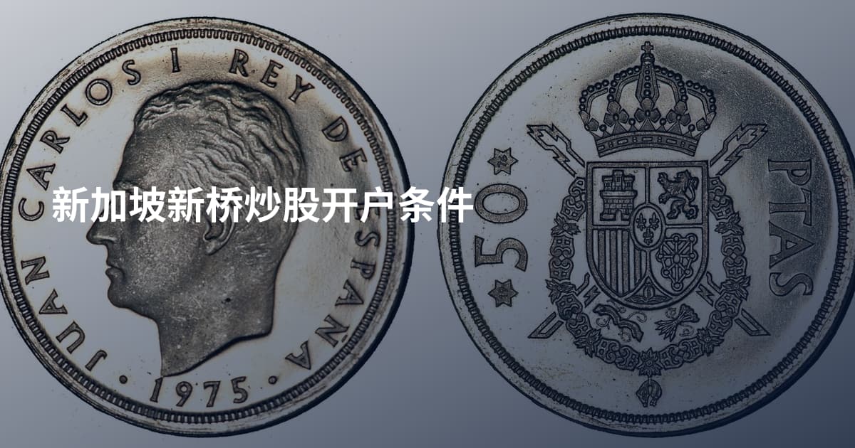 新加坡新桥炒股开户条件