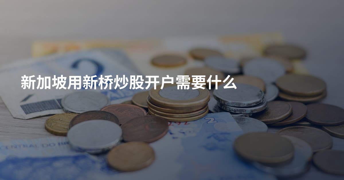 新加坡用新桥炒股开户需要什么