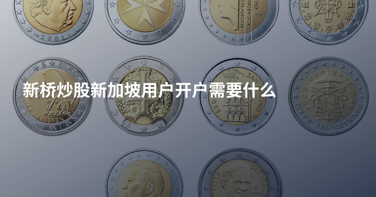 新桥炒股新加坡用户开户需要什么