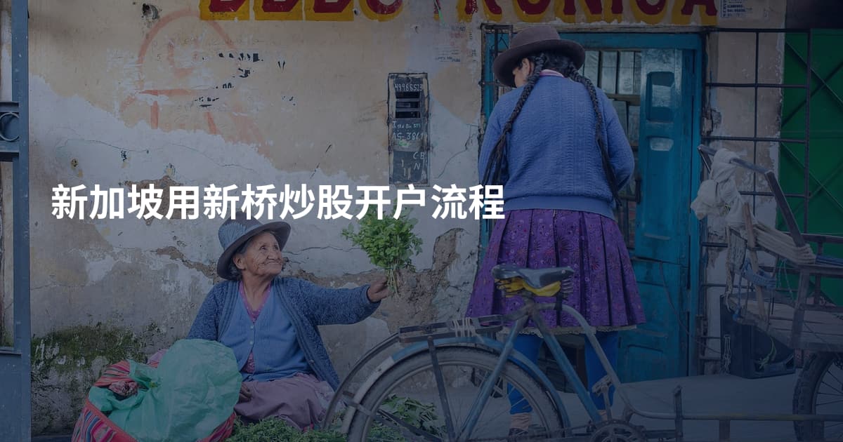 新加坡用新桥炒股开户流程