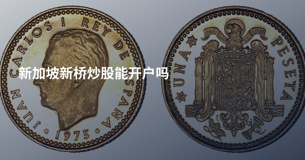 新加坡新桥炒股能开户吗