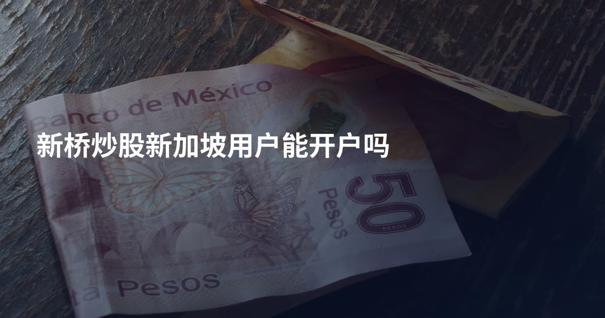 新桥炒股新加坡用户能开户吗