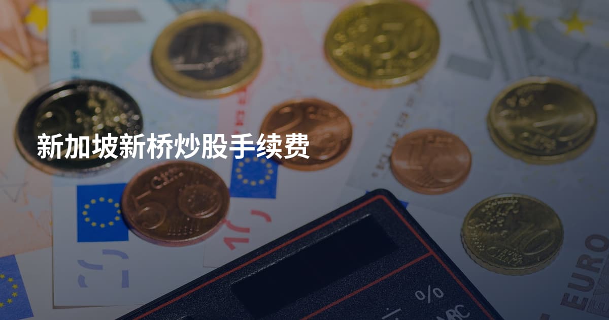 新加坡新桥炒股手续费