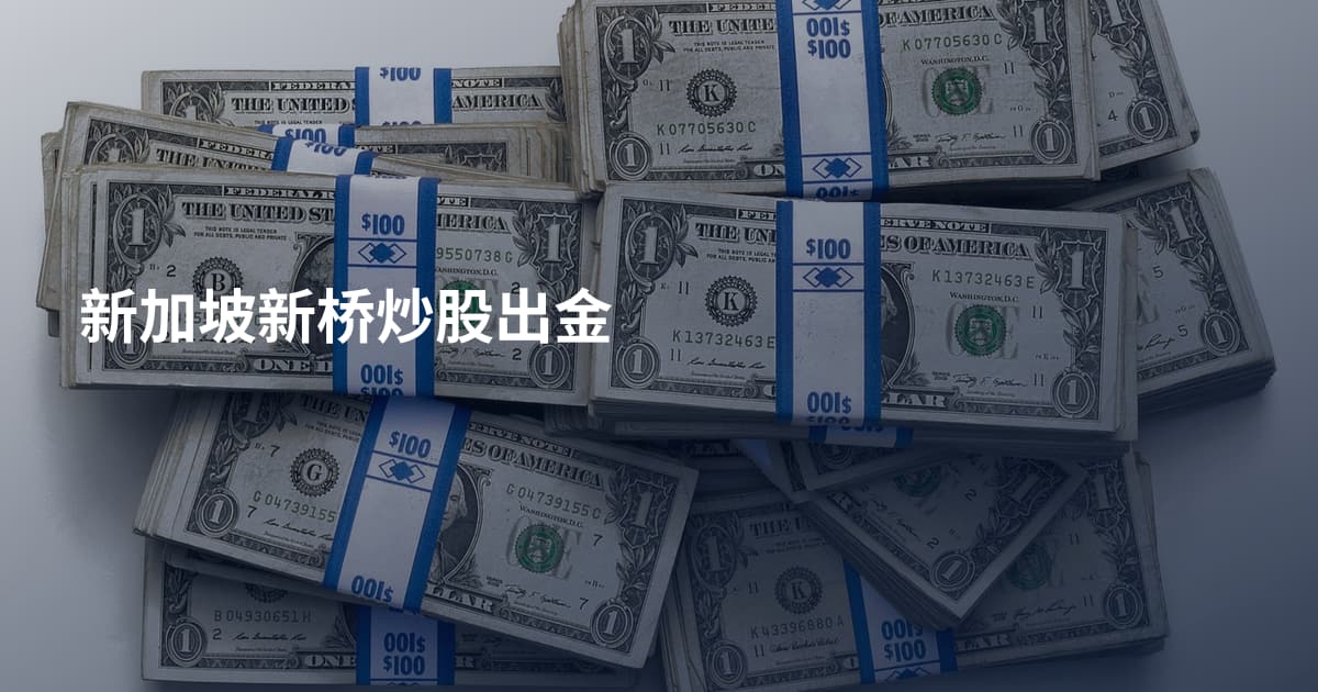 新加坡新桥炒股出金