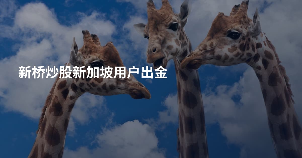 新桥炒股新加坡用户出金
