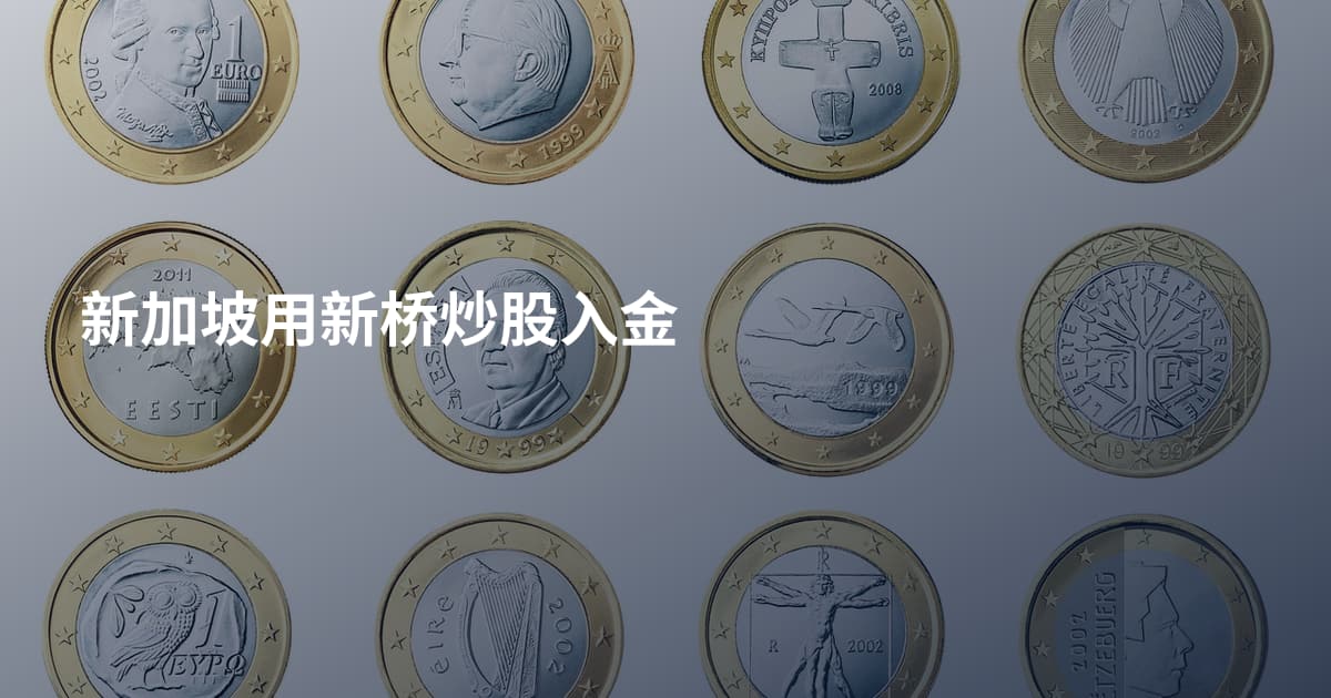 新加坡用新桥炒股入金