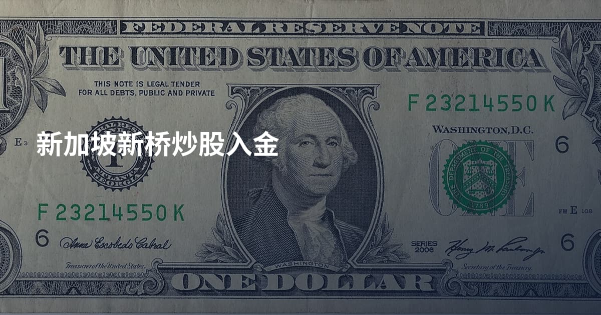 新加坡新桥炒股入金