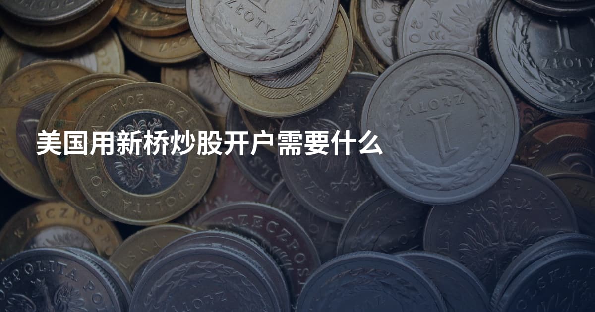 美国用新桥炒股开户需要什么