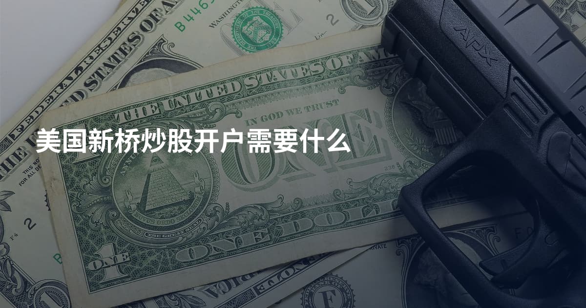 美国新桥炒股开户需要什么