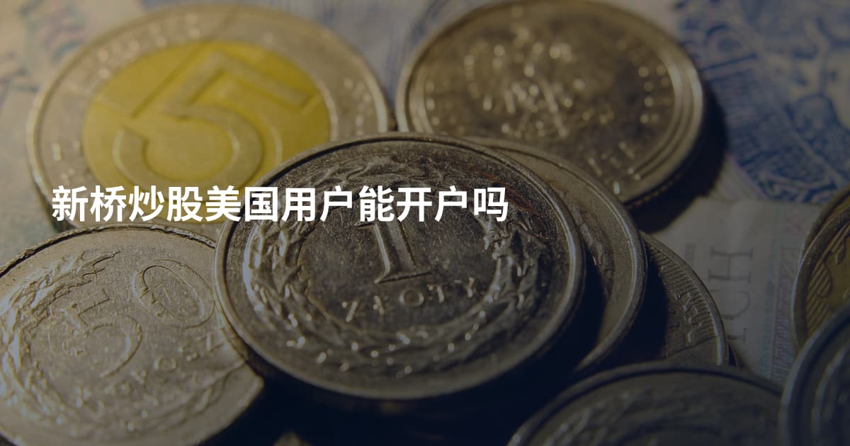 新桥炒股美国用户能开户吗