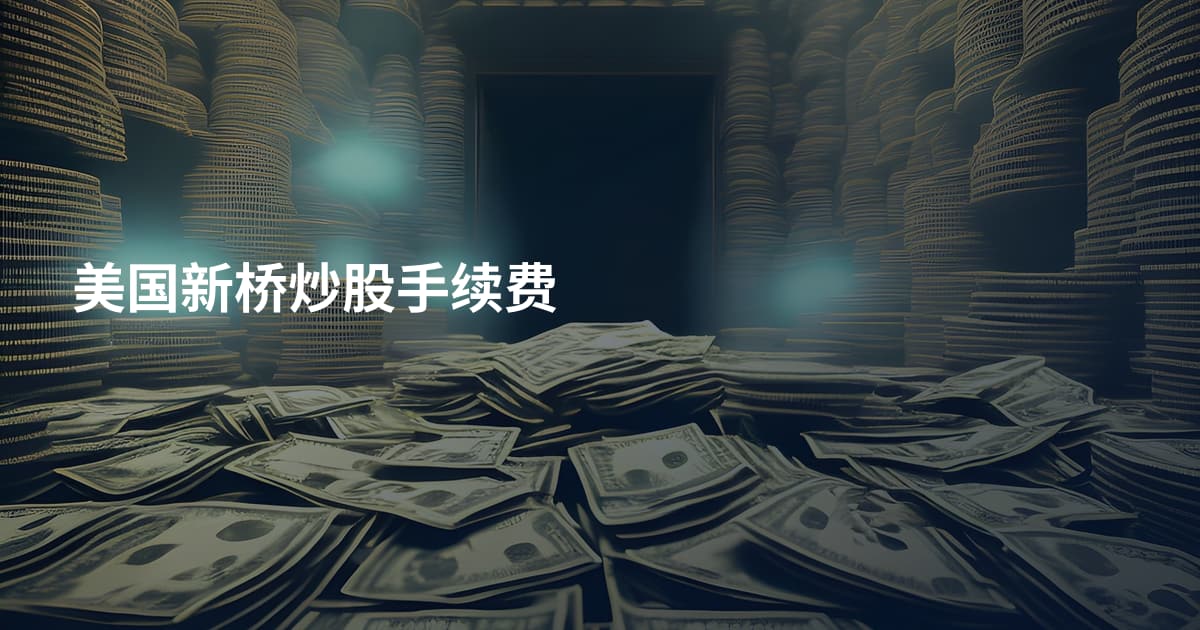 美国新桥炒股手续费