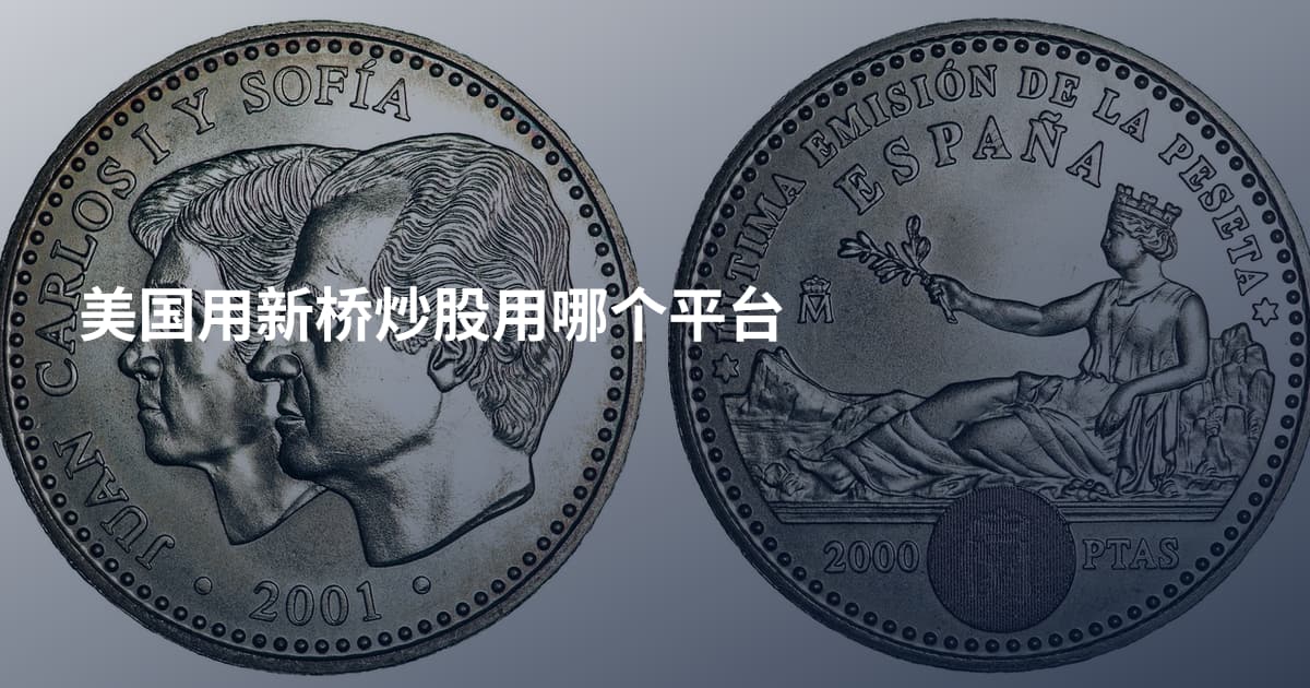 美国用新桥炒股用哪个平台