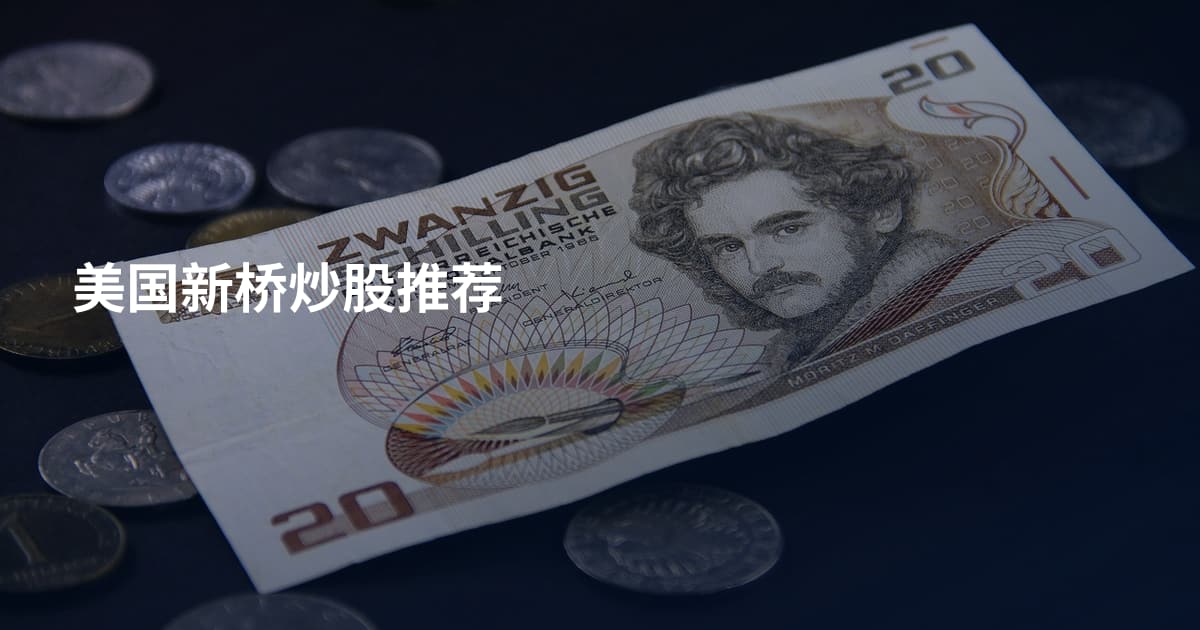 美国新桥炒股推荐