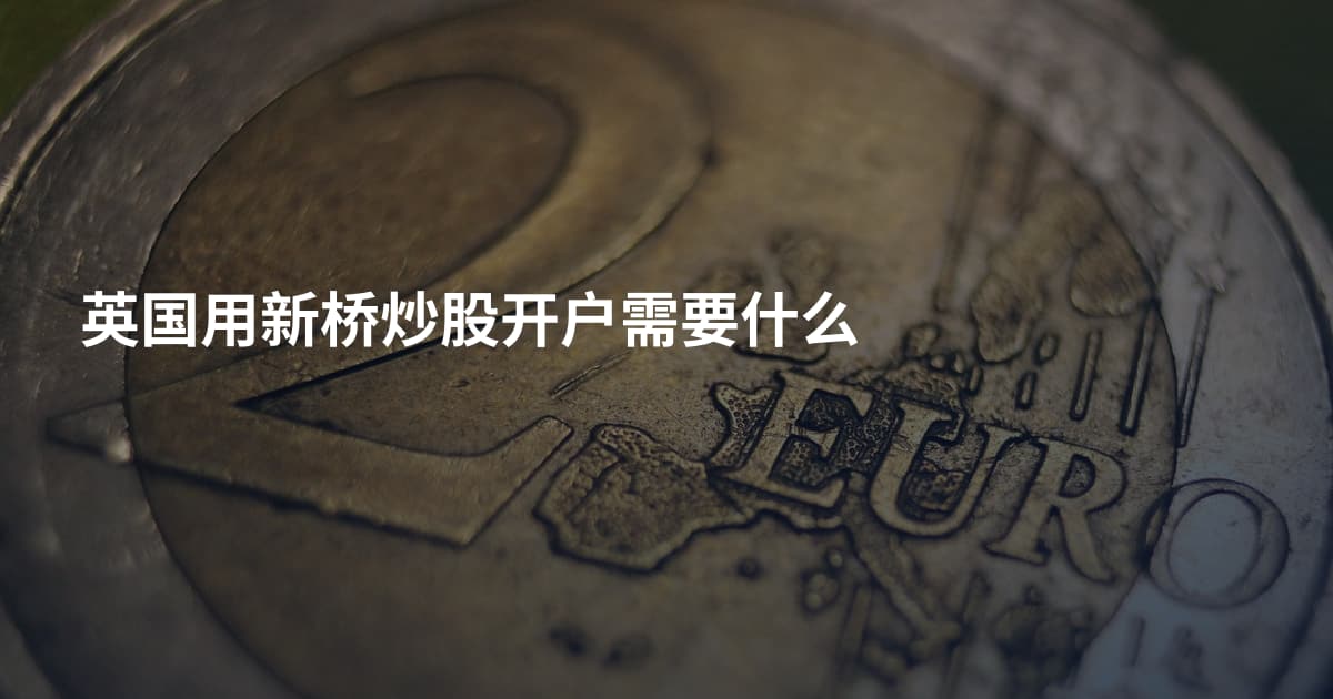 英国用新桥炒股开户需要什么