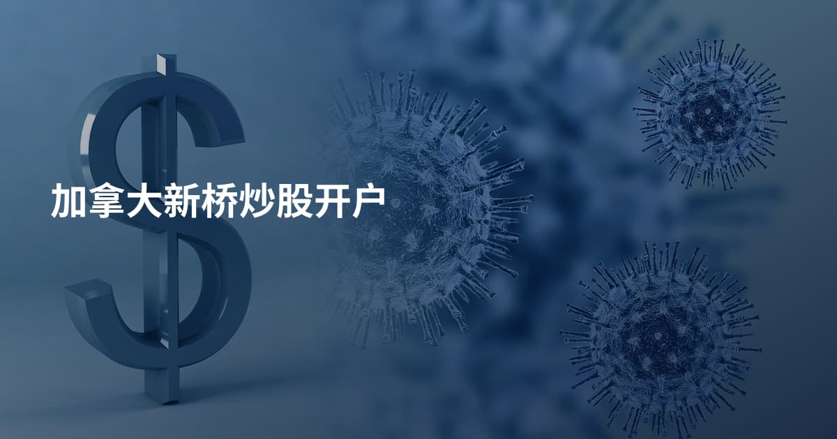 加拿大新桥炒股开户