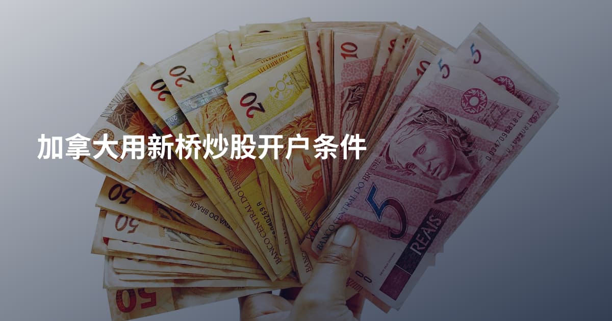 加拿大用新桥炒股开户条件