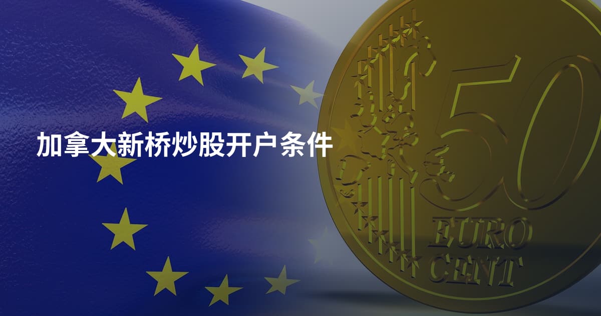 加拿大新桥炒股开户条件