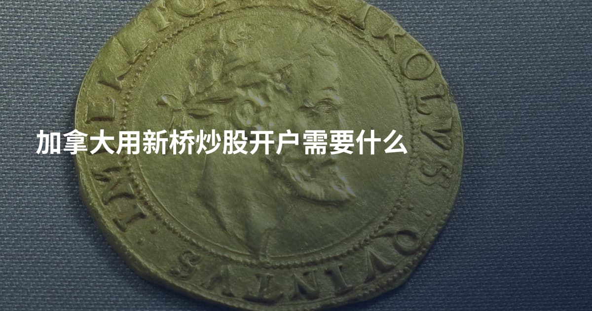 加拿大用新桥炒股开户需要什么