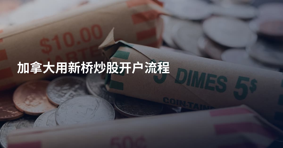 加拿大用新桥炒股开户流程