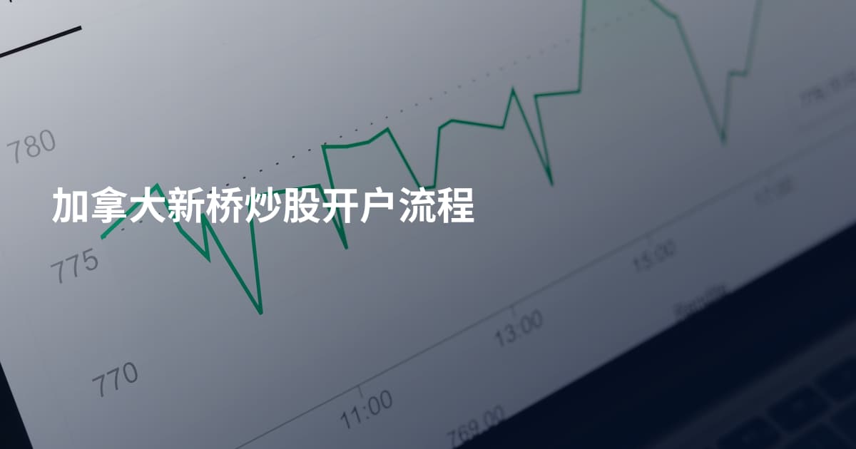 加拿大新桥炒股开户流程