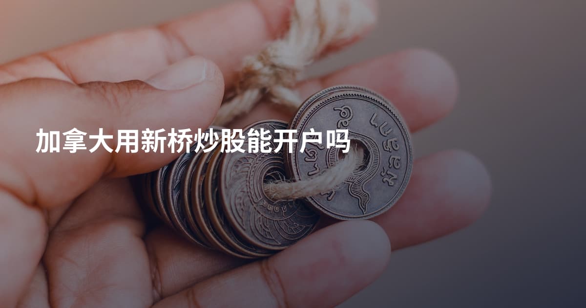 加拿大用新桥炒股能开户吗