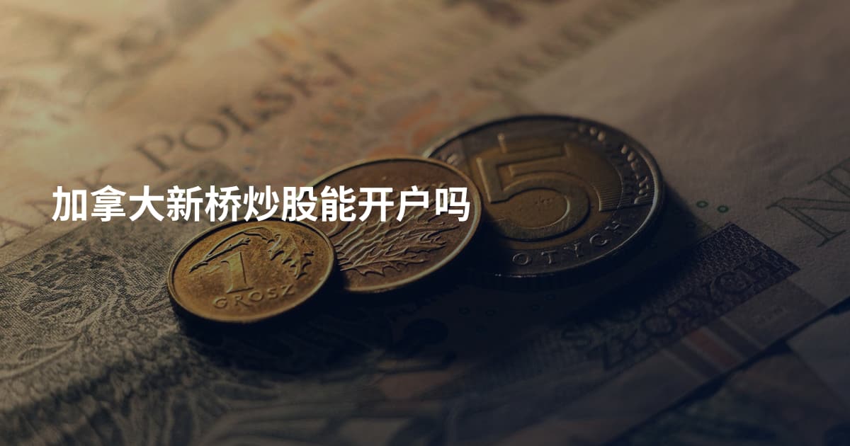 加拿大新桥炒股能开户吗
