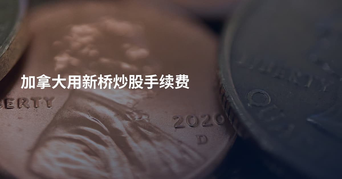 加拿大用新桥炒股手续费