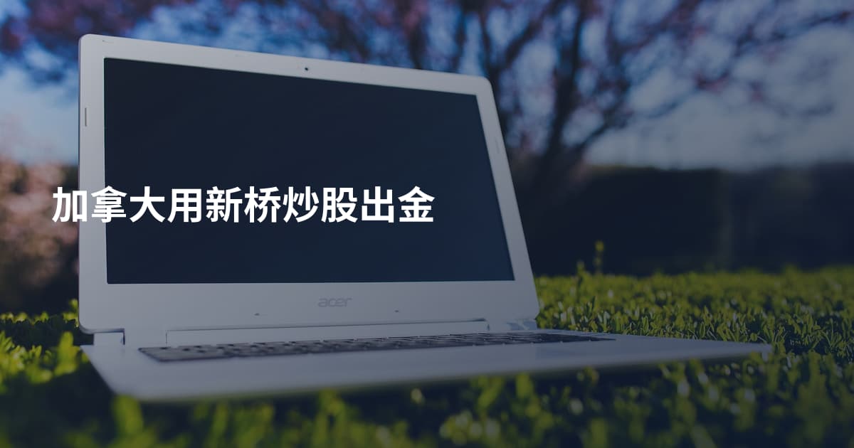 加拿大用新桥炒股出金