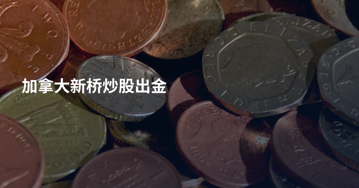 加拿大新桥炒股出金
