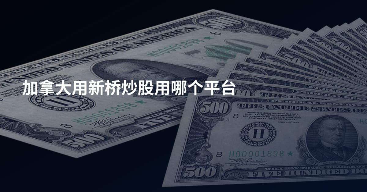 加拿大用新桥炒股用哪个平台