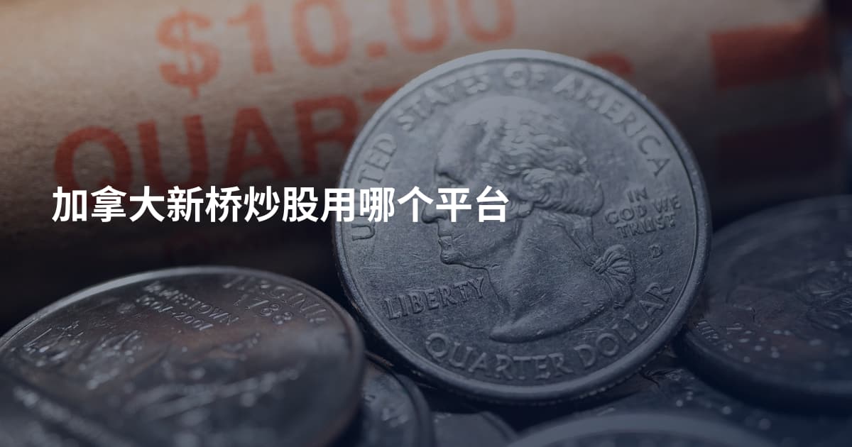 加拿大新桥炒股用哪个平台
