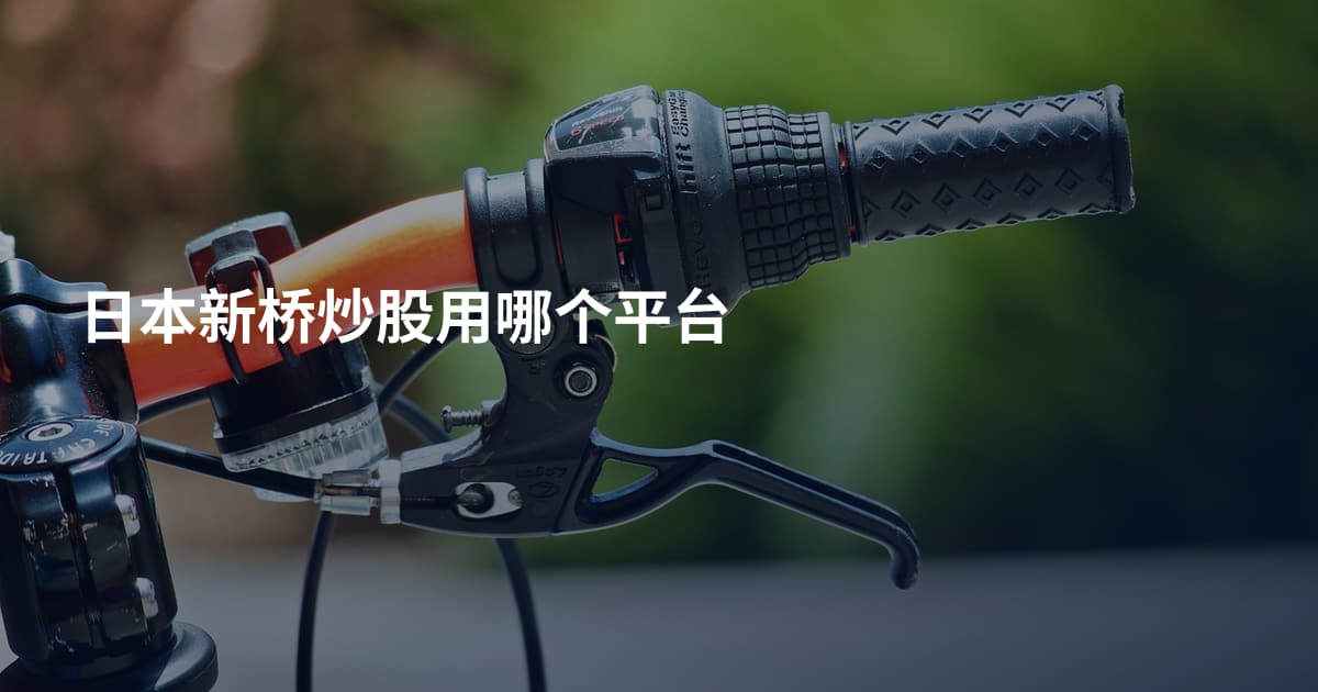 日本新桥炒股用哪个平台