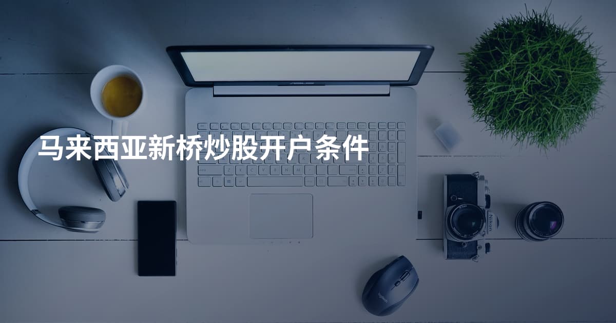 马来西亚新桥炒股开户条件