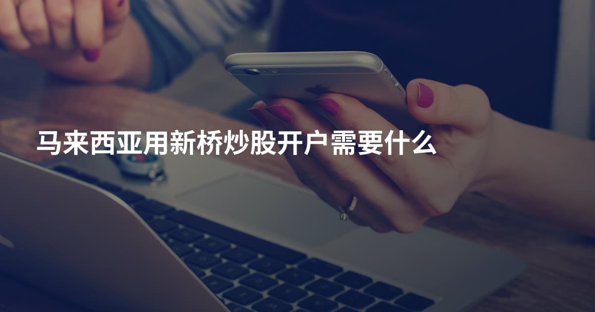 马来西亚用新桥炒股开户需要什么