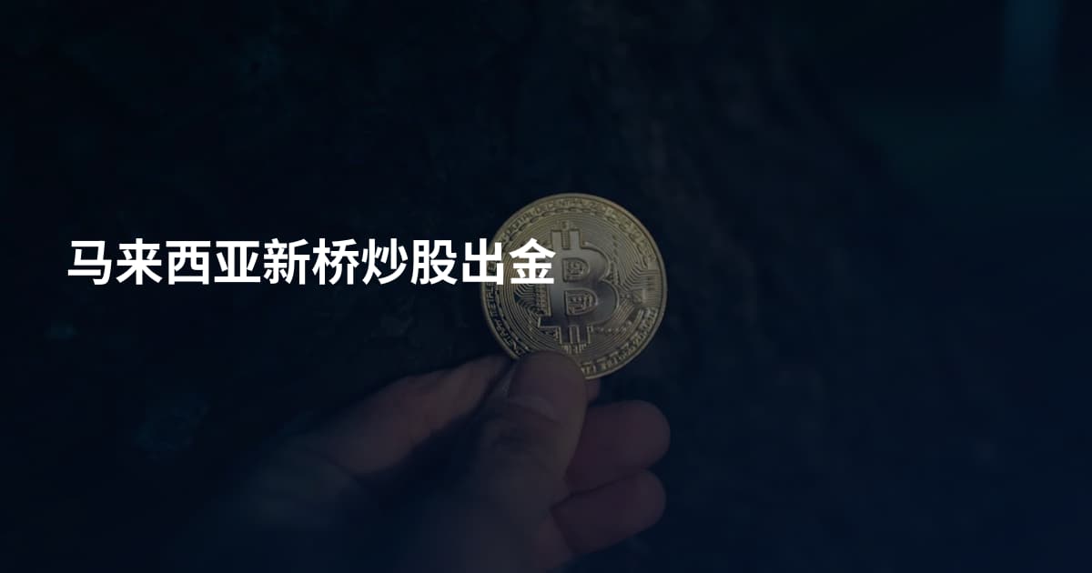 马来西亚新桥炒股出金