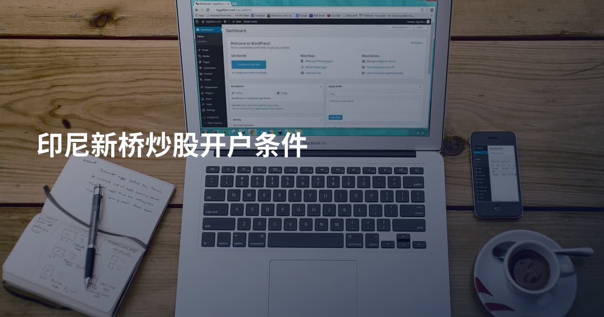 印尼新桥炒股开户条件