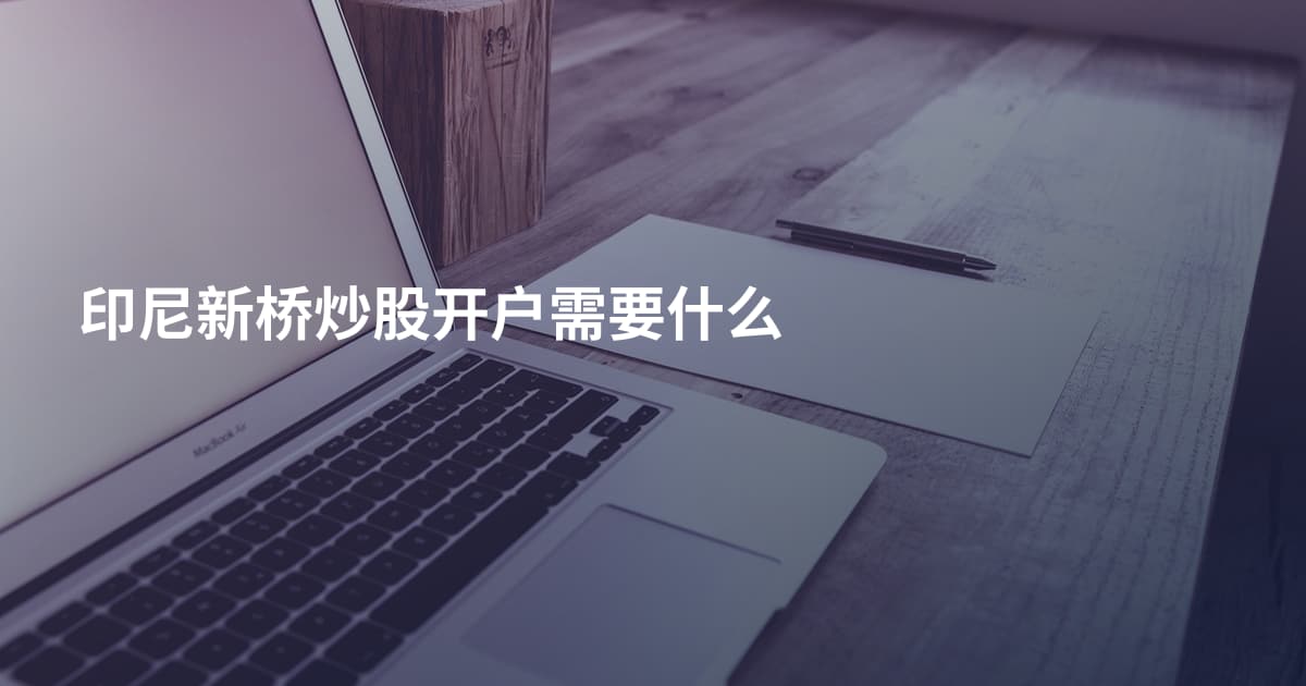 印尼新桥炒股开户需要什么