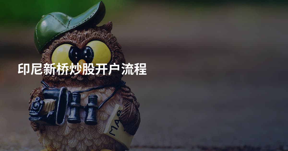 印尼新桥炒股开户流程