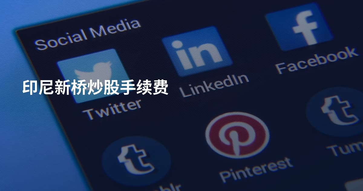 印尼新桥炒股手续费